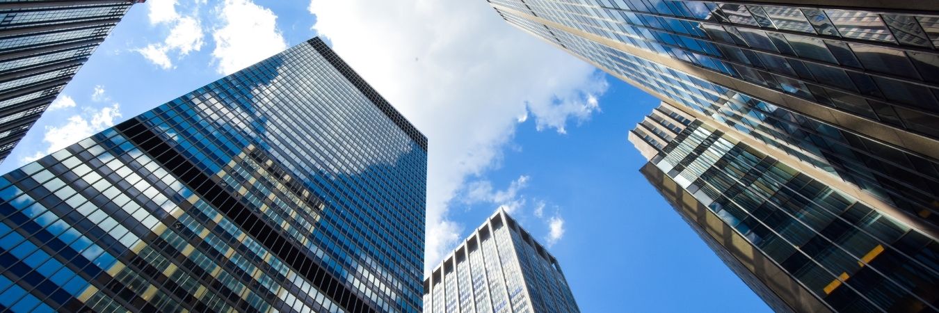 Why Summer Is the Best Time to Build High‑Performing Transformation Teams 